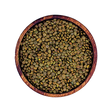Lentilles vertes - 5 kg