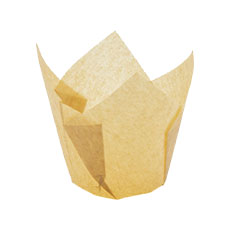 Moule golden tulipe - 140/50 x 267 pc