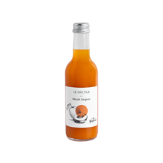 Nectar d'abricot Bergeron Gaspard - 250 ml x 20 pc