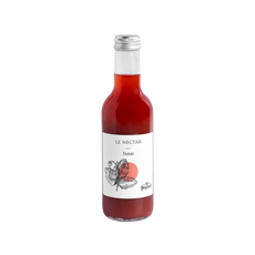 Nectar de fraise Gaspard - 250 ml x 20 pc