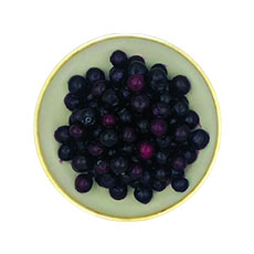 Myrtille sauvage IQF - 1 kg x 5 pc