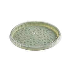 Boîte à pizza Evolve RPET ronde 32 cm diam. - 120 pc