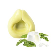 Tortellini ricotta épinard - 10 kg