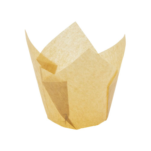 Moule golden tulipe - 140/50 x 267 pc