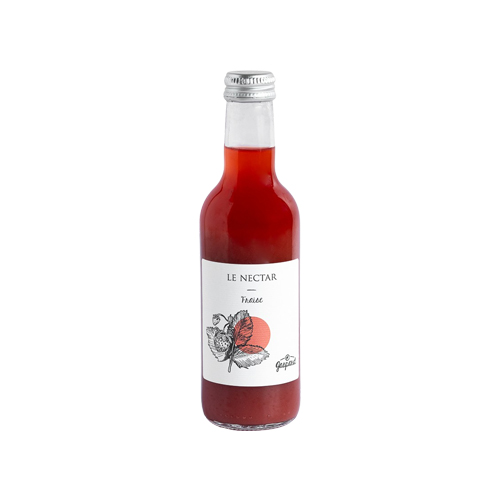 Nectar de fraise Gaspard - 250 ml x 20 pc