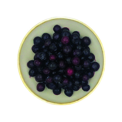 Myrtille sauvage IQF - 1 kg x 5 pc