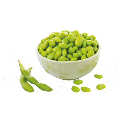 Edamame IQF - 1 kg x 5 pc